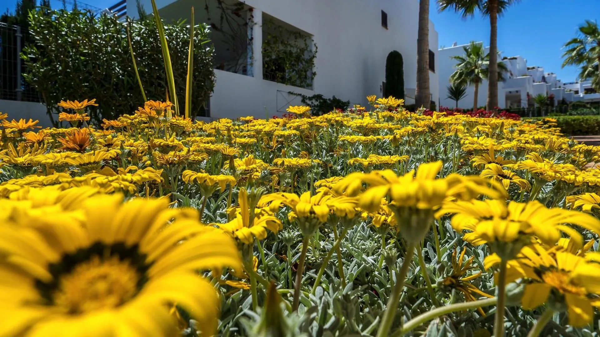 La Isla Apartment San Juan De Los Terreros